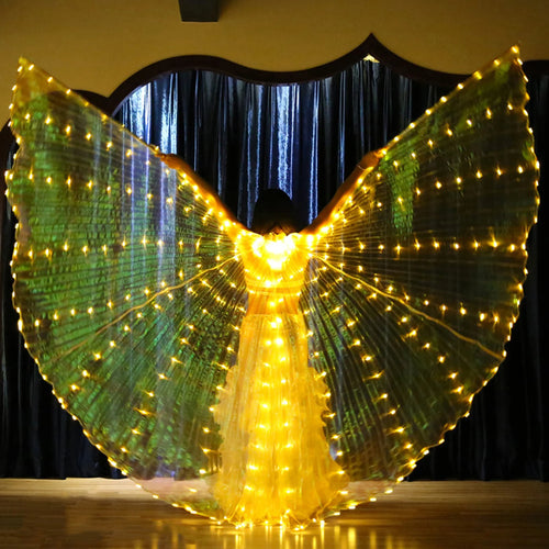 LED Light Up Butterfly Wings – Verlichte Dansvleugels